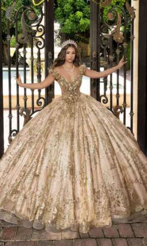 Vestido de Debutante DEB - 102